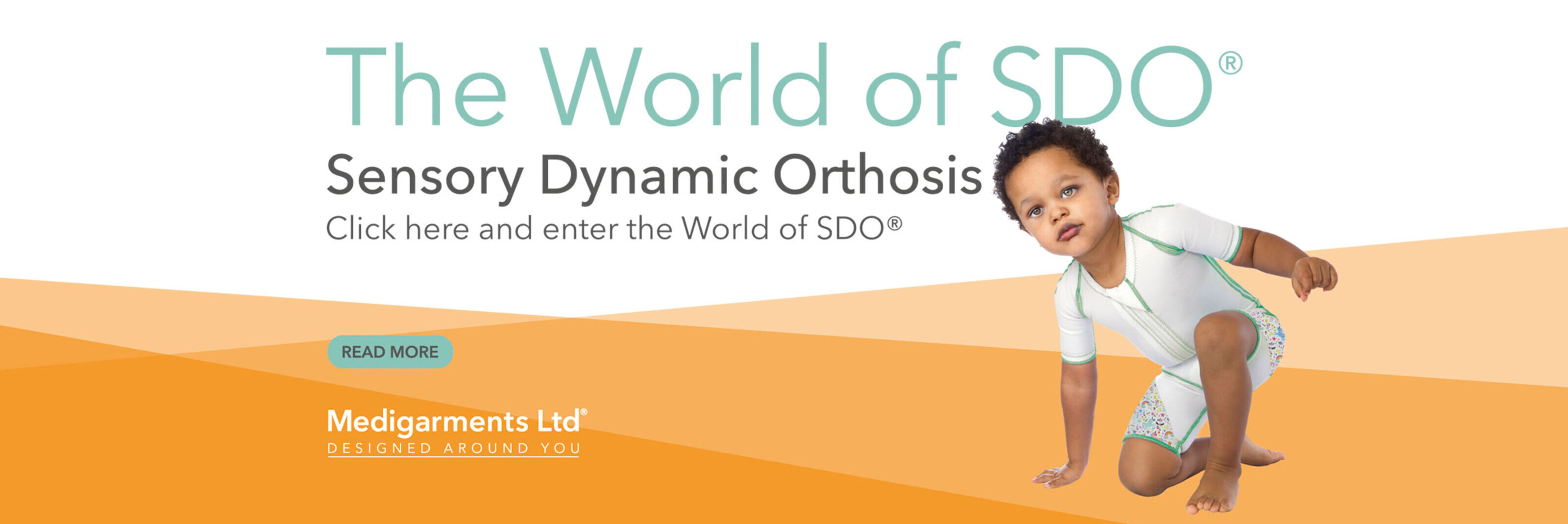 The world of SDO banner