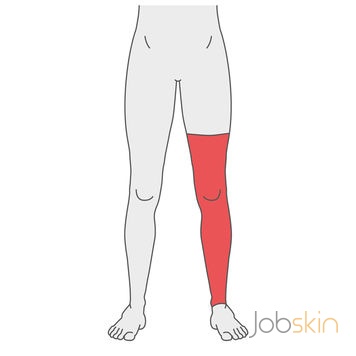 Jobskin® Classic Leg Sleeve any Length – PG25