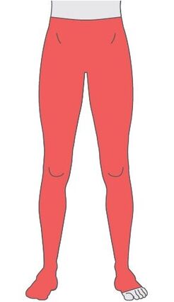 New Jobskin® Premium Leggings Waist Height Two Legs with Feet – PO 1101