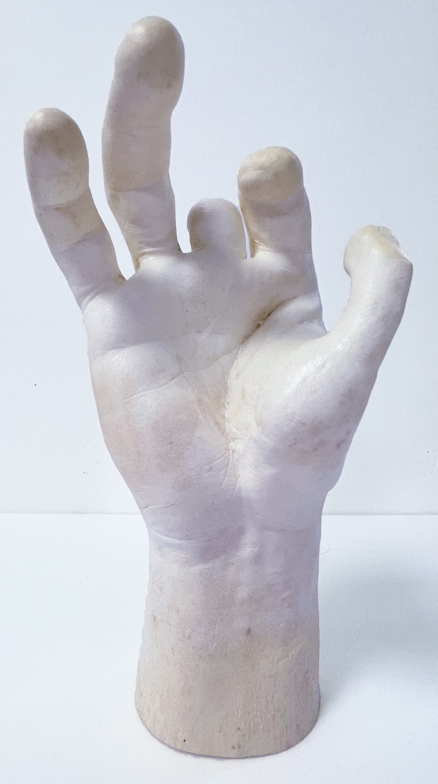 Alginate Cast & Glove - image 1