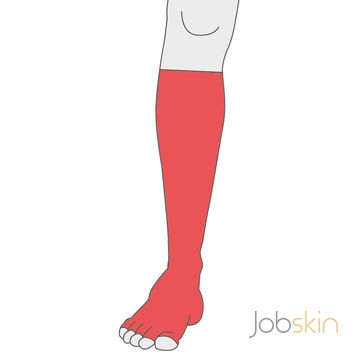 Jobskin® Premium Foot Glove to Knee – 0539