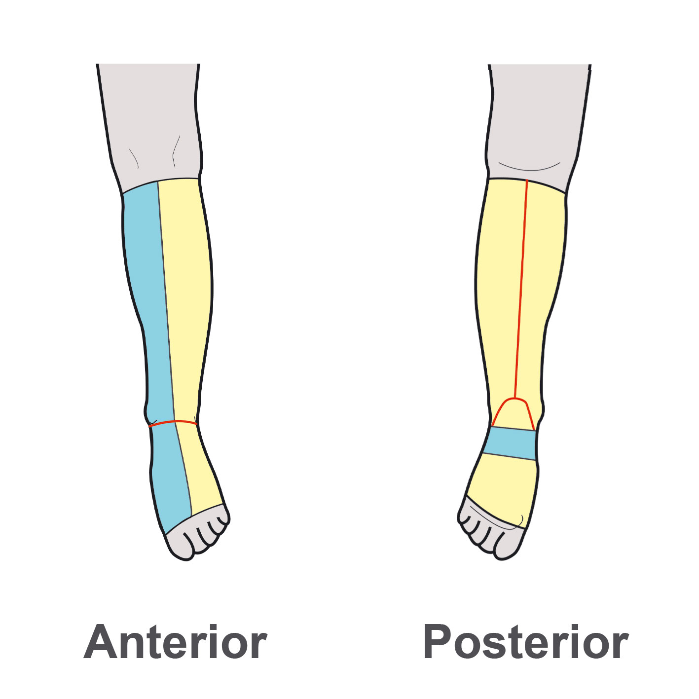 Lower Leg Medial Panels - LL3