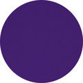 Interim Purple
