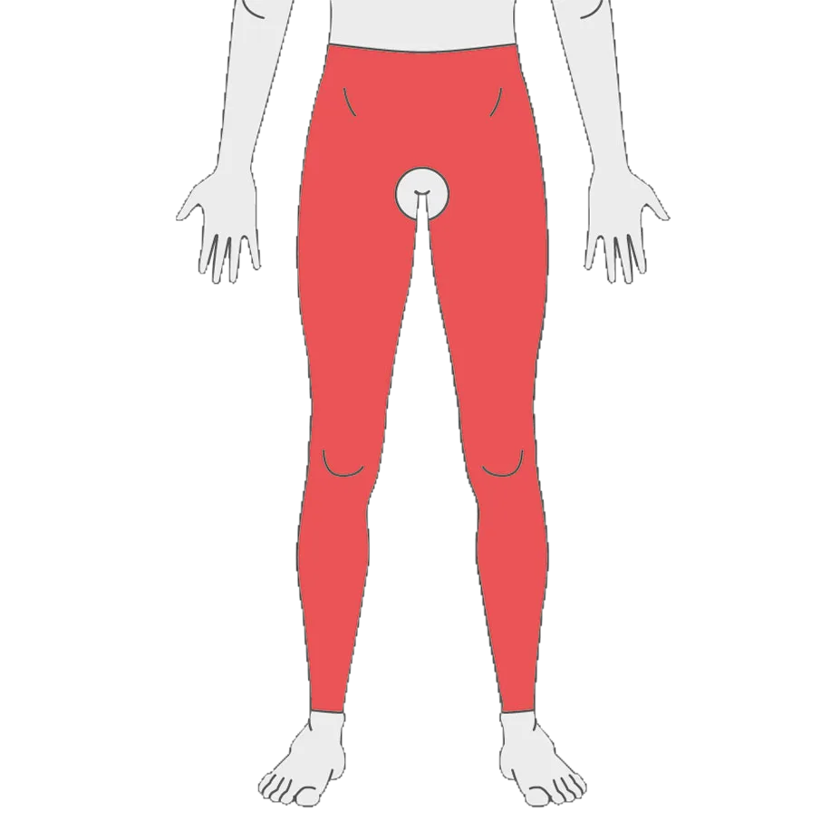 Panty-Girdle-two-legs