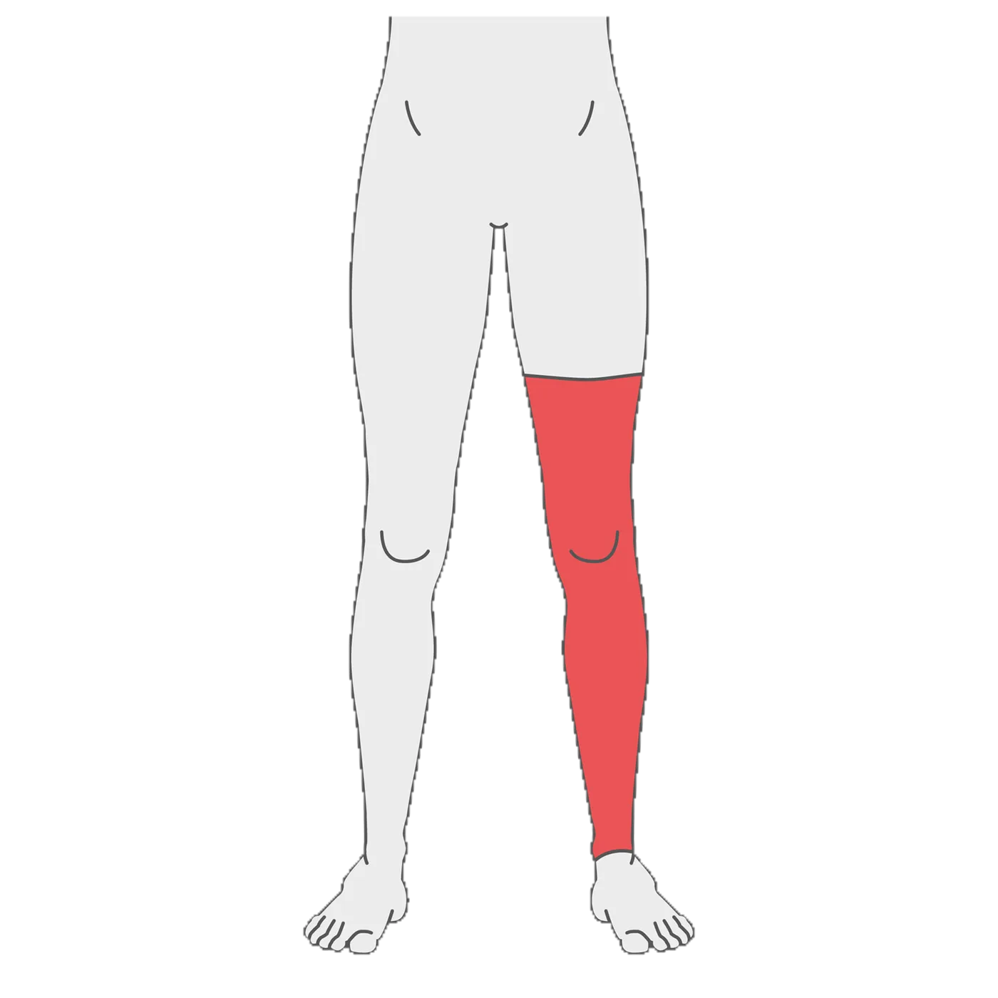 Jobskin® Premium Leg Sleeve, Any Length, with or without Feet - PO 0201